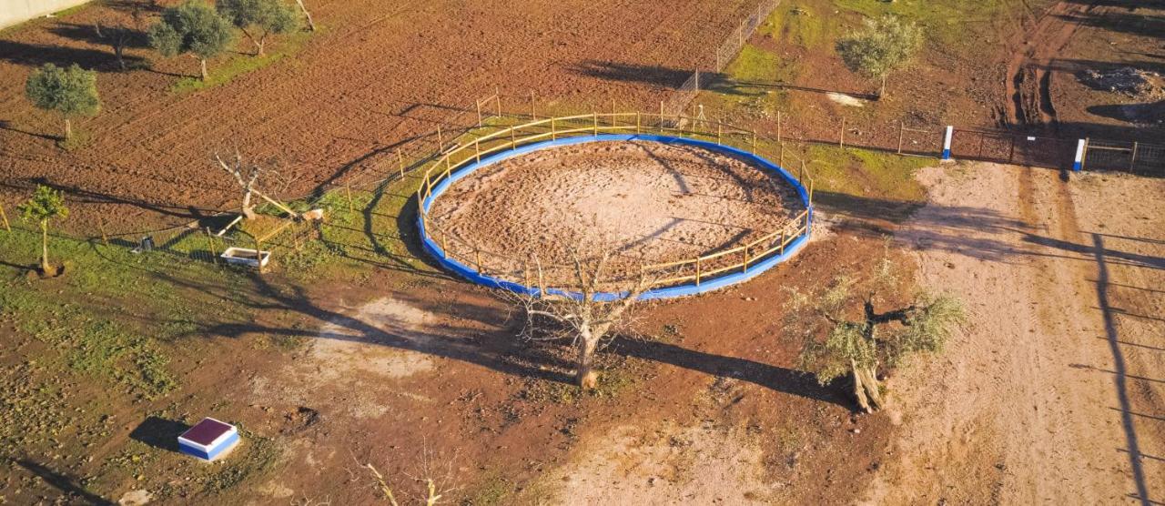 Tapada Do Chafariz Panzió Estremoz Kültér fotó