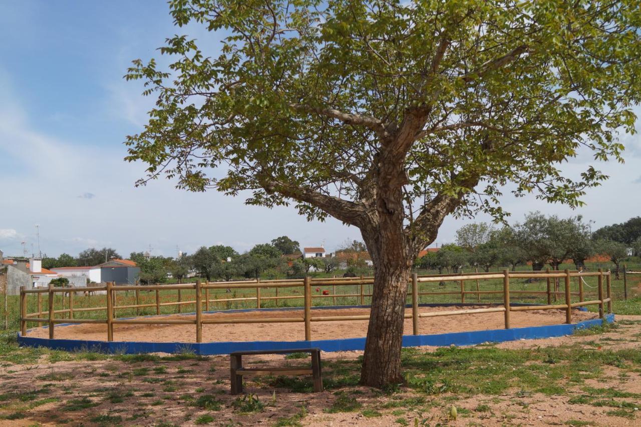 Tapada Do Chafariz Panzió Estremoz Kültér fotó